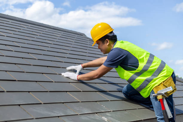 Best Roof Gutter Cleaning  in Carlisle, IA