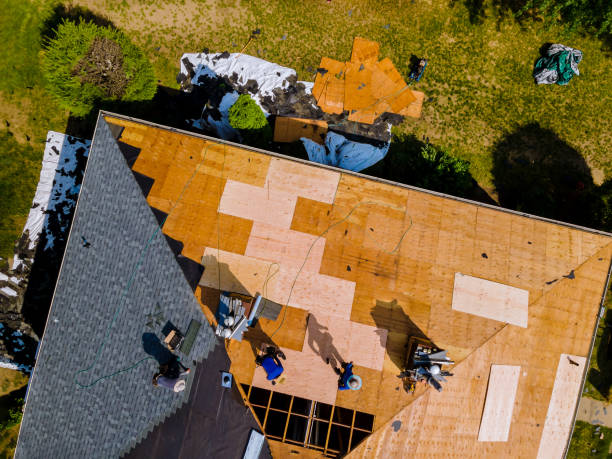 Best Local Roofing Companies  in Carlisle, IA