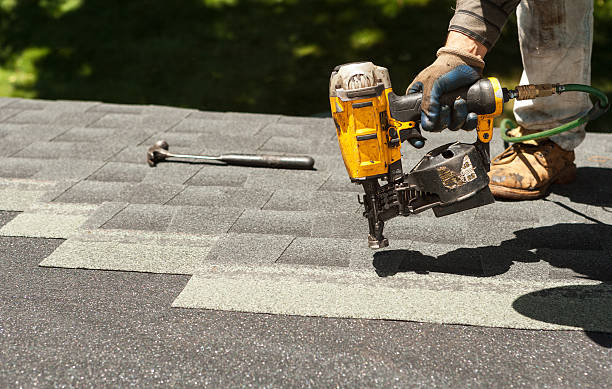 Best Roof Gutter Cleaning  in Carlisle, IA