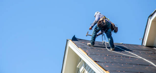 Roof Gutter Cleaning in Carlisle, IA